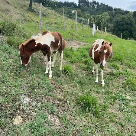 公寓 Rural